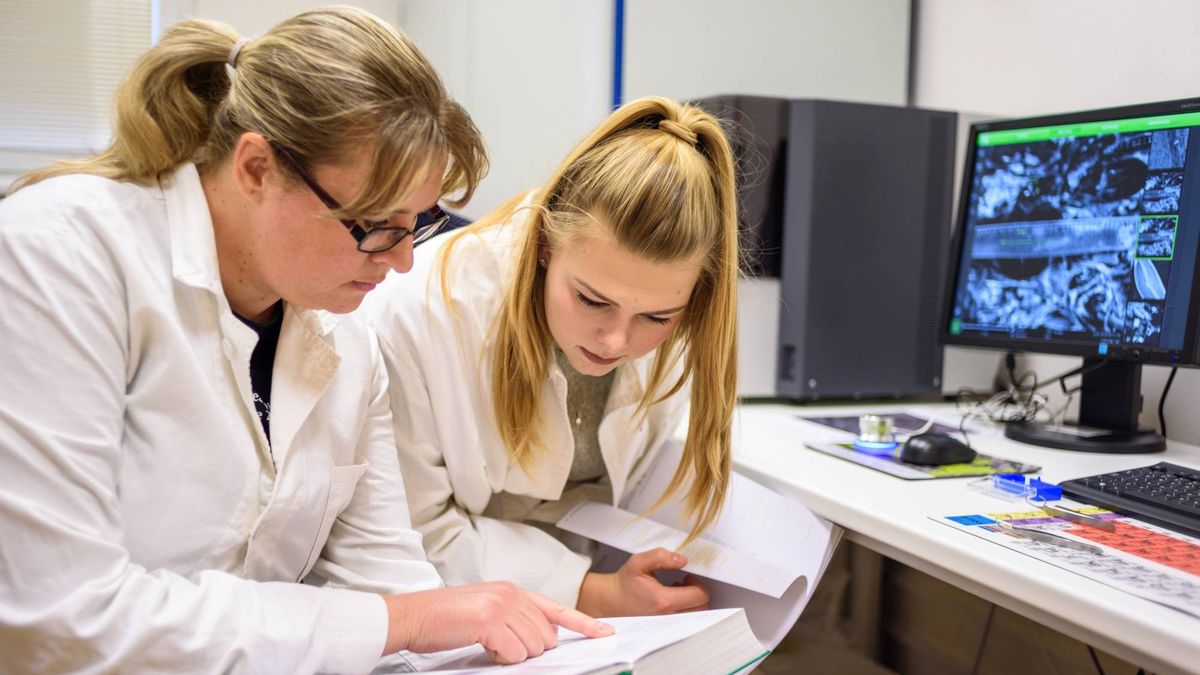 Zažít vědu na vlastní kůži: Akademie věd nabízí roční stáže